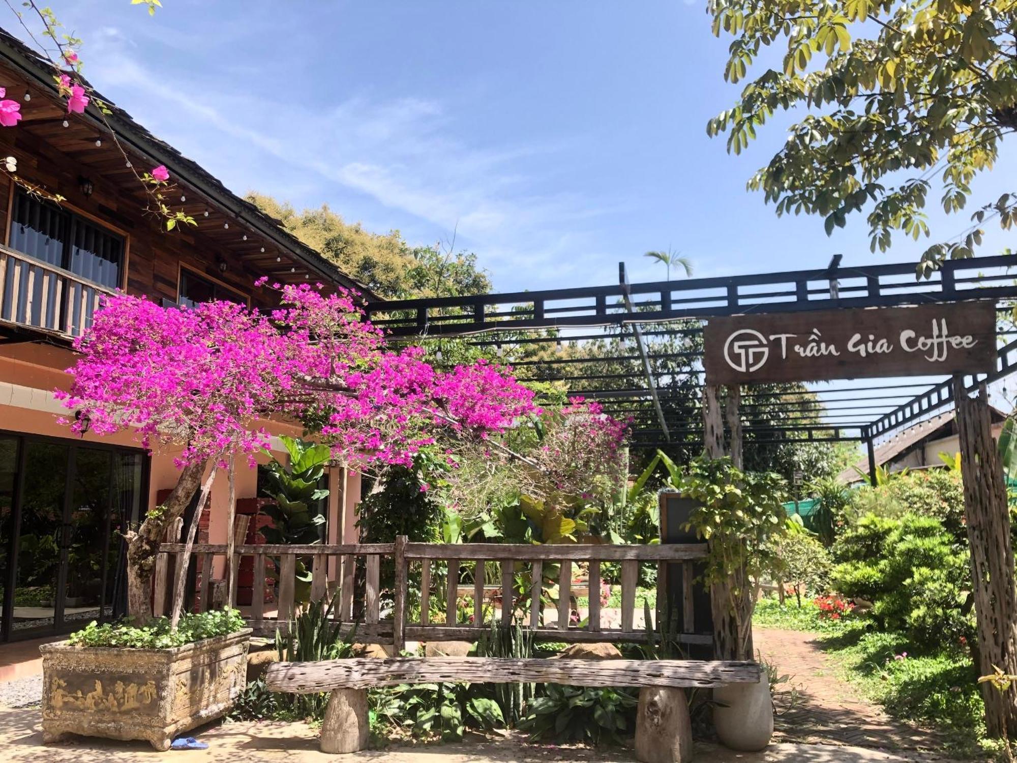 Tran Gia Homestay Nghia Lo Extérieur photo